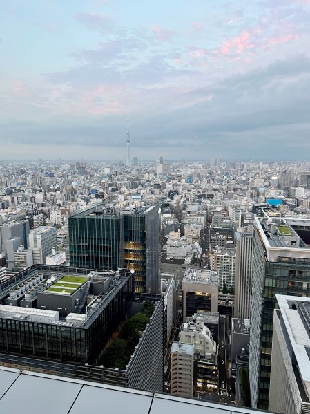 File:Tokyo Skyline 2022 08 26A.jpeg