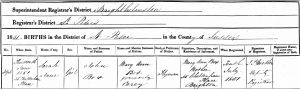 Thumbnail for File:BirthCertificate SarahJaneBox 1851.jpg