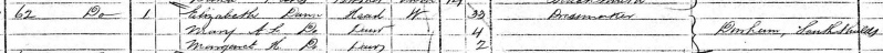File:1871 Durham Westoe D3 ElizabethDunn crop.jpg